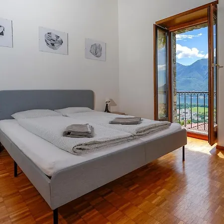 Palm * Locarno